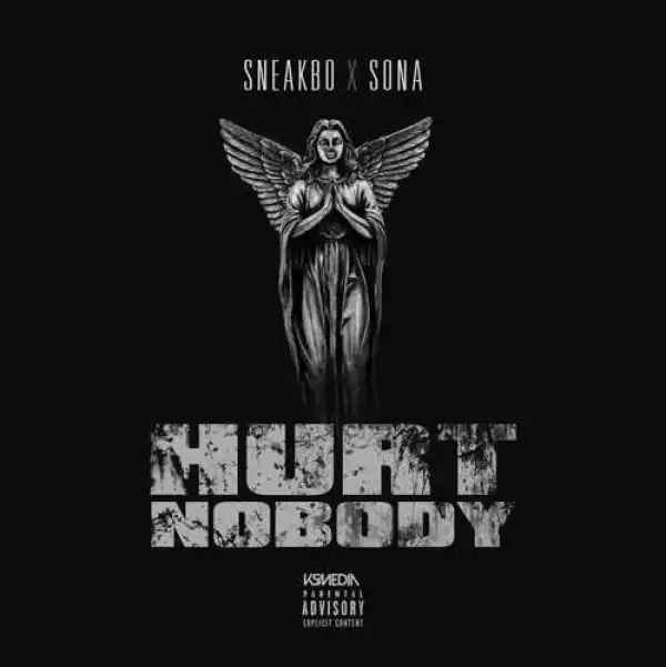 Sneakbo - Hurt Nobody (ft. Sona)
